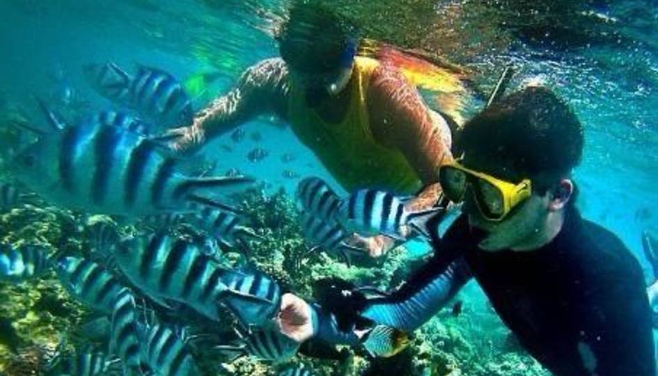Mnemba Atoll Snorkeling & Diving