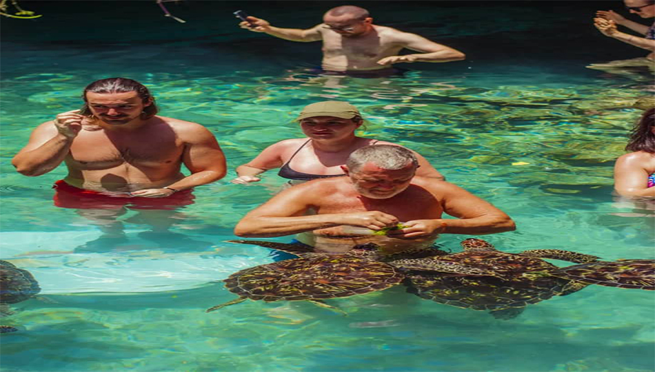 Nungwi Aquarium & Turtle Conservation